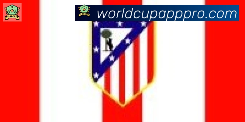美加墨世界杯APP下载合作伙伴