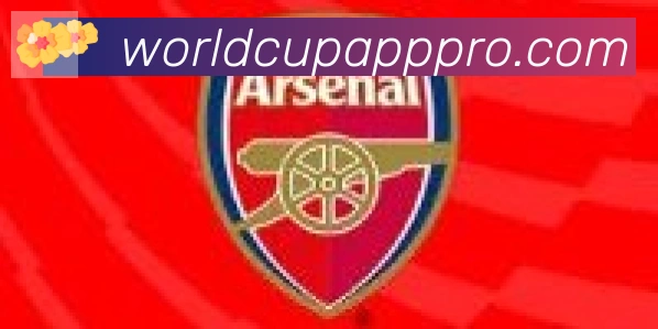 美加墨世界杯APP下载合作伙伴